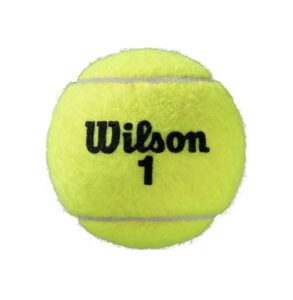 теннисные мячи Wilson Roland Garros All Court 4 Ball Tube 02