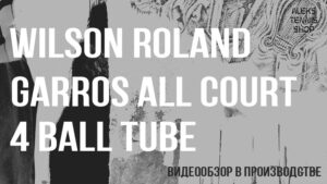 теннисные мячи Wilson Roland Garros All Court 4 Ball Tube zastavka