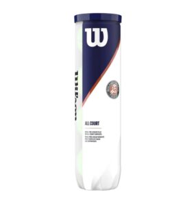 теннисные мячи Wilson Roland Garros All Court 18x4 Ball 04