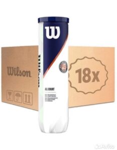 теннисные мячи Wilson Roland Garros All Court 18x4 Ball Tube 01